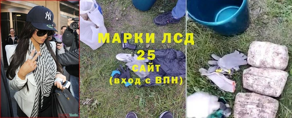 ешки Аркадак