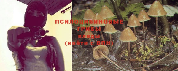 ешки Аркадак