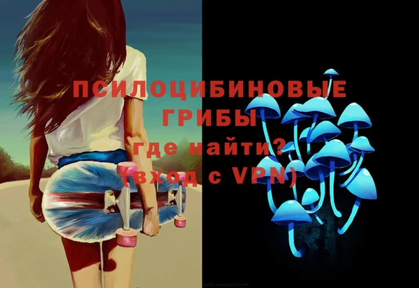 тгк Алзамай